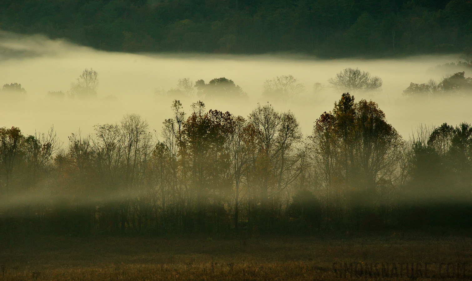 [300 mm, 1/400 sec at f / 10, ISO 1600]